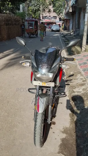 TVS Apache RTR 160 2V 2014 Gray