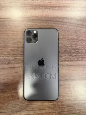 Apple iPhone 11 Pro Max 256 GB Gray