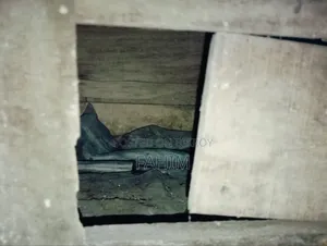 Pigeon Nest কবুতরের বাসা খোয়ার