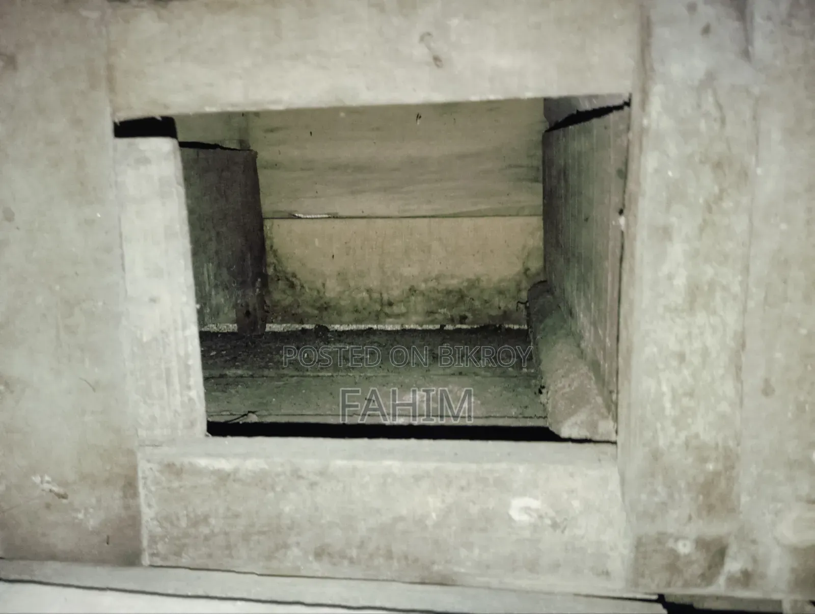 Pigeon Nest কবুতরের বাসা খোয়ার