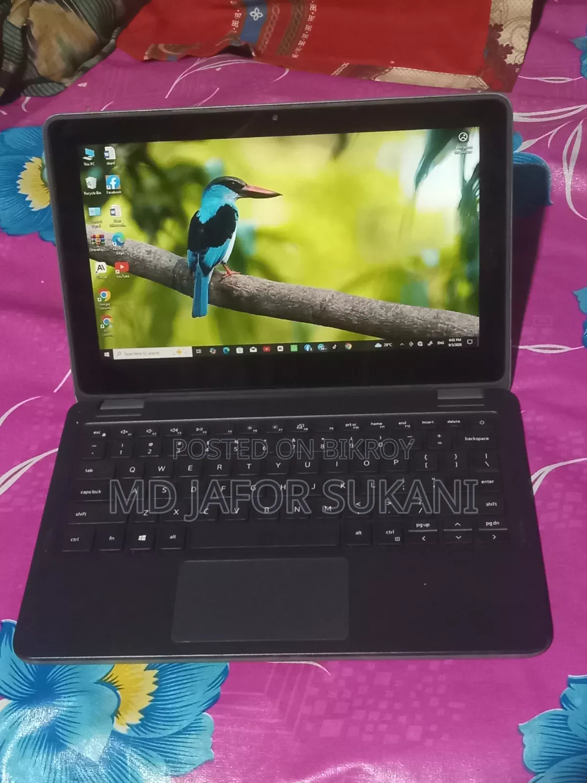 Laptop Dell Latitude 3120 8GB Intel Pentium SSD 256GB