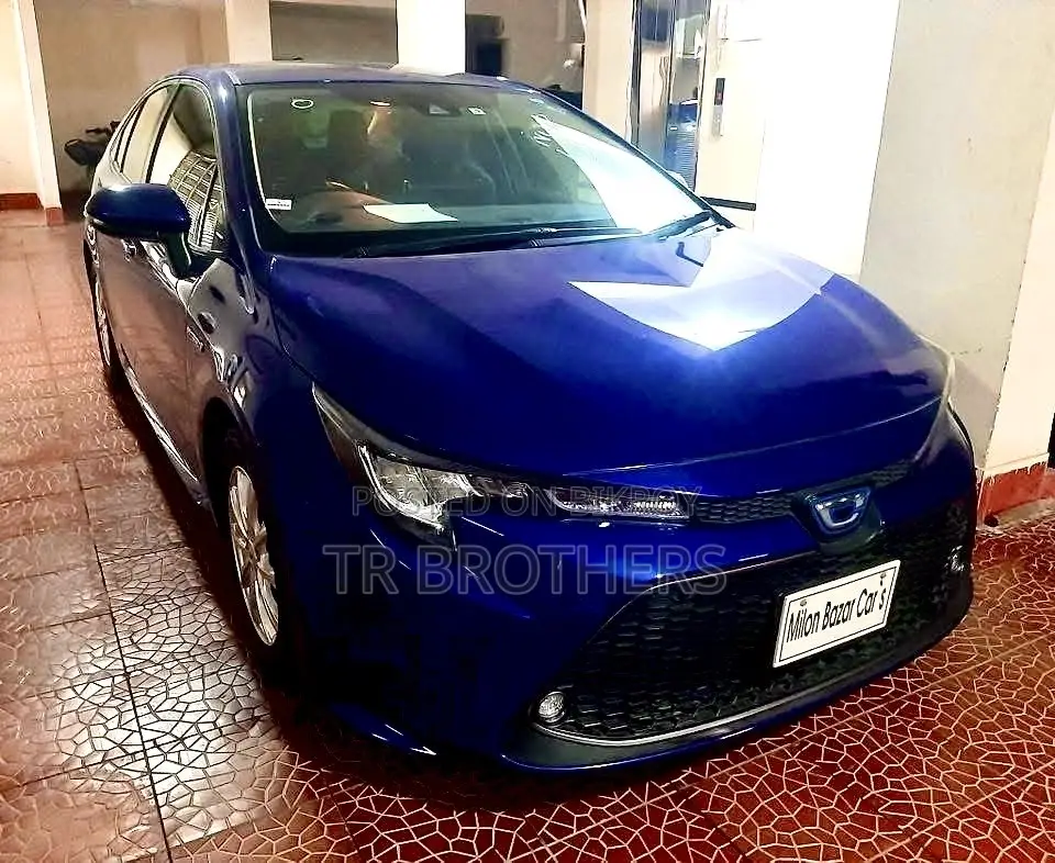 Toyota Corolla 2019 Blue