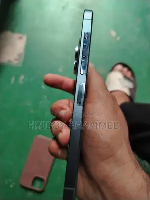 Apple iPhone 13 Pro Max 1 TB