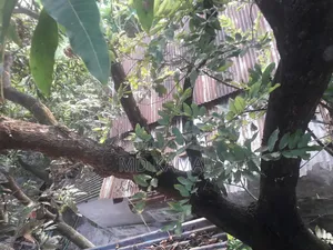 দুই শতক ০৪ পয়েন্ট জমি
