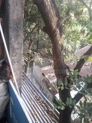 দুই শতক ০৪ পয়েন্ট জমি