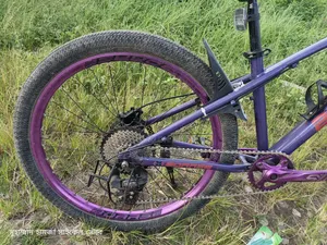 Sound hub. Oil Brake. 9 Speed, Expensive Crank, Borarse Rim