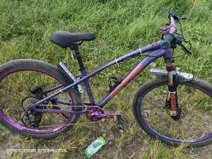 Sound hub. Oil Brake. 9 Speed, Expensive Crank, Borarse Rim