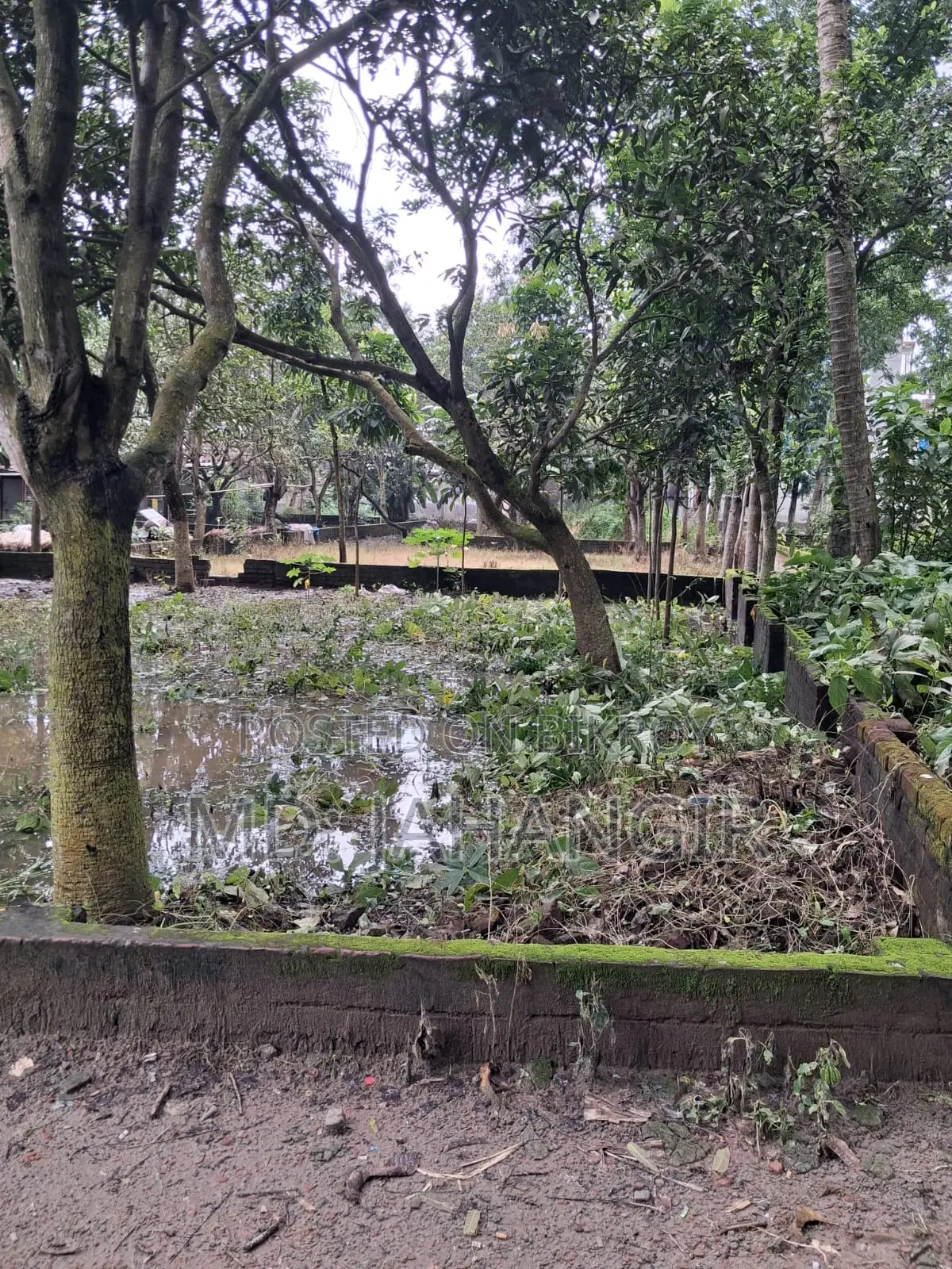 ২.৫ কাঠা জমি বিক্রয় করা হবে