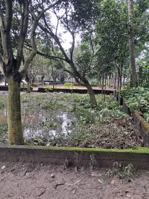 ২.৫ কাঠা জমি বিক্রয় করা হবে