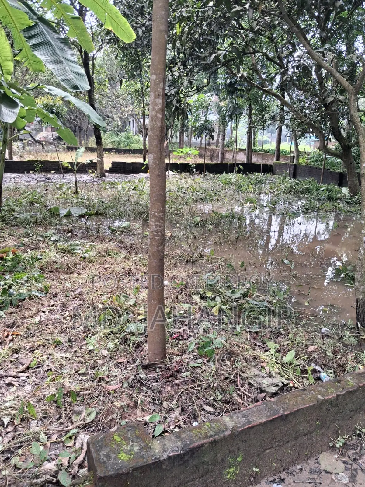 ২.৫ কাঠা জমি বিক্রয় করা হবে