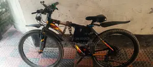 Electric Cycle 250w