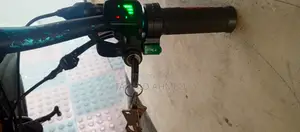Electric Cycle 250w