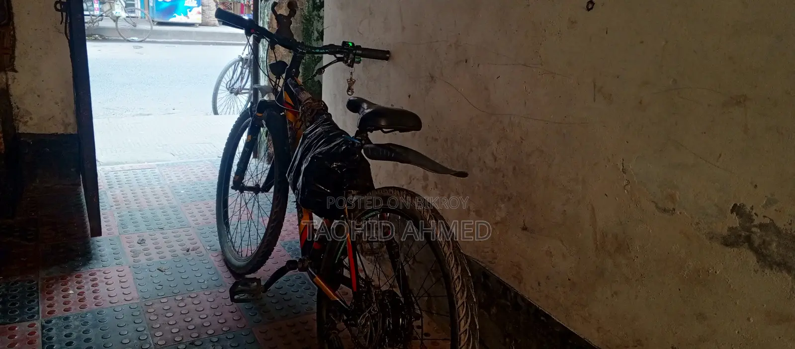 Electric Cycle 250w