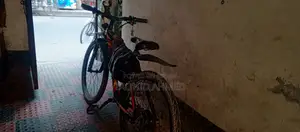 Electric Cycle 250w