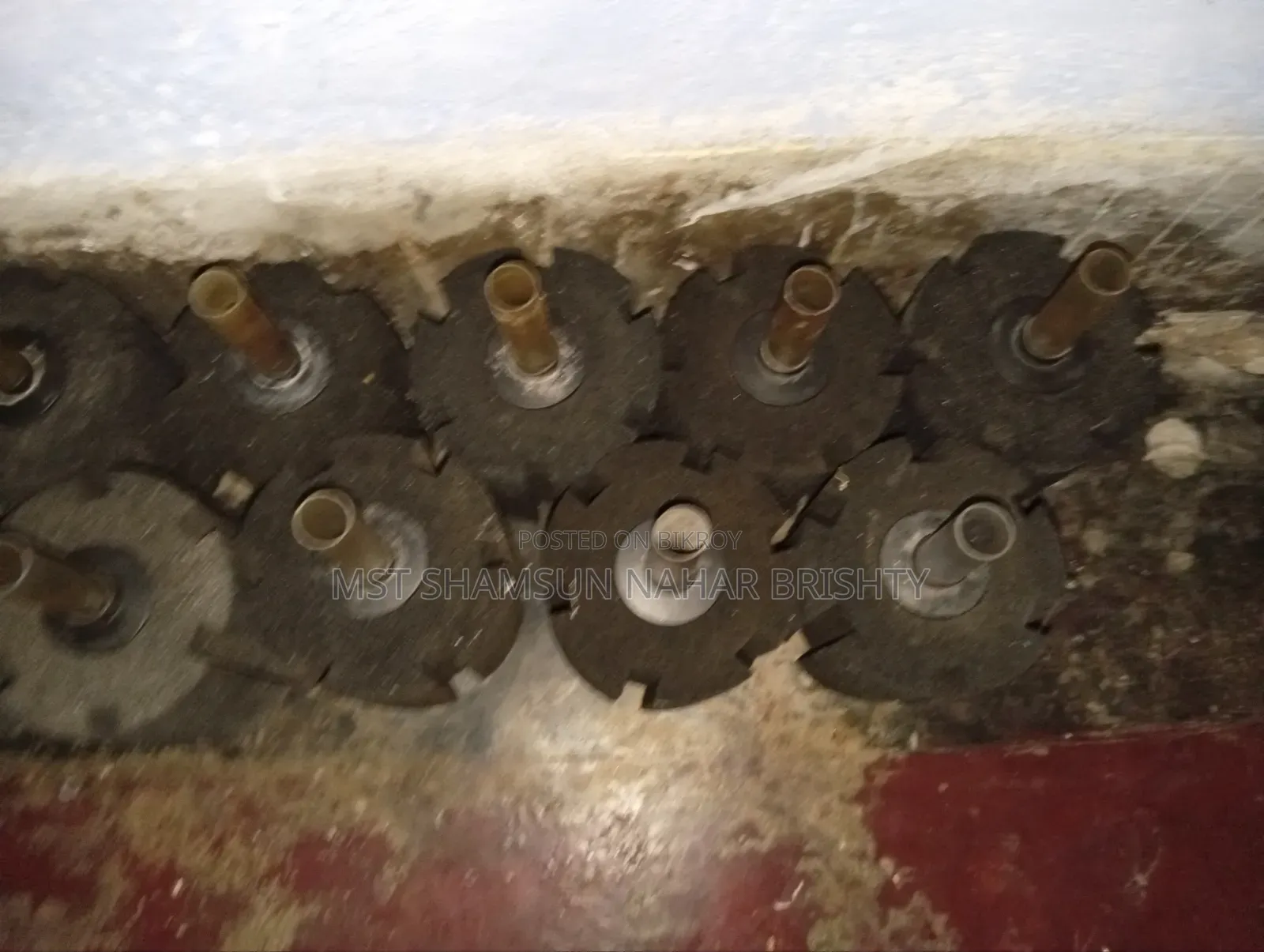 স্পঞ্জ ফিল্টার সেল