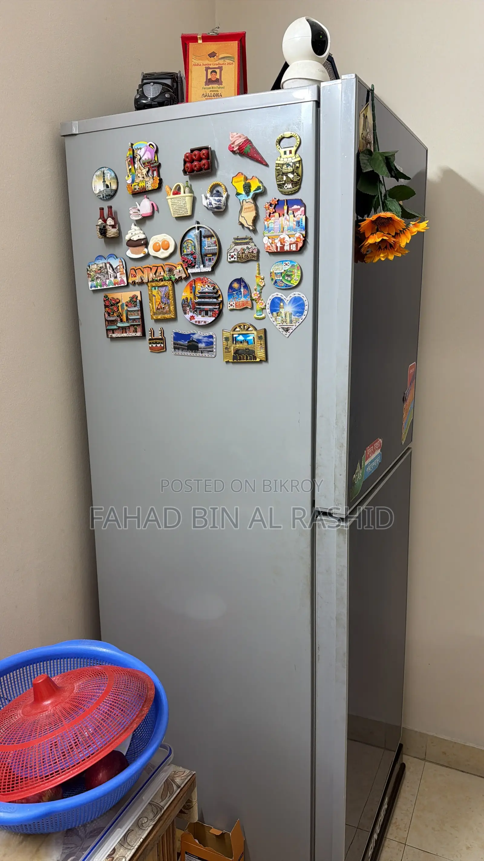 Singer Refrigerator