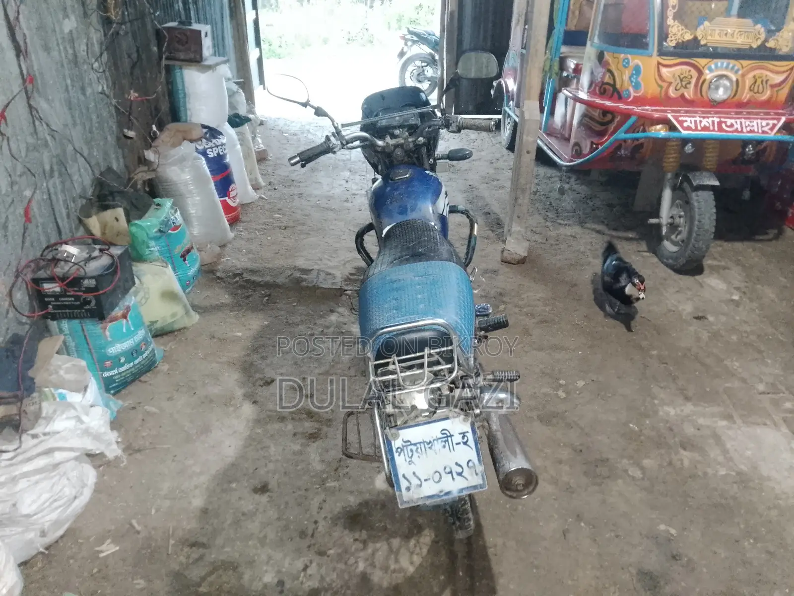 Bajaj Platina 100 2013 Blue
