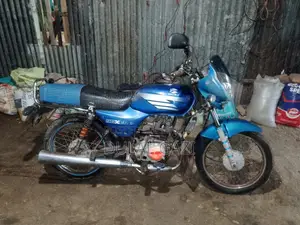 Bajaj Platina 100 2013 Blue