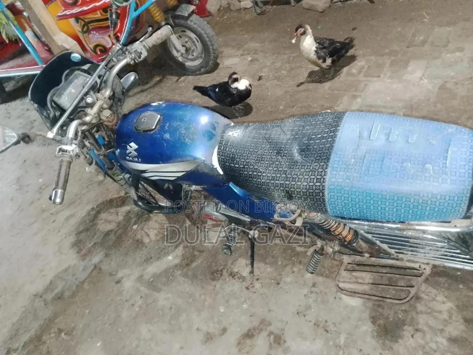 Bajaj Platina 100 2013 Blue