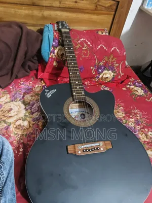 জরুরী বিক্রি, সিগনেচার গিটার, ১৮ দিন ব্যবহার, বিগেইনার