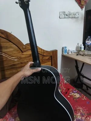 জরুরী বিক্রি, সিগনেচার গিটার, ১৮ দিন ব্যবহার, বিগেইনার