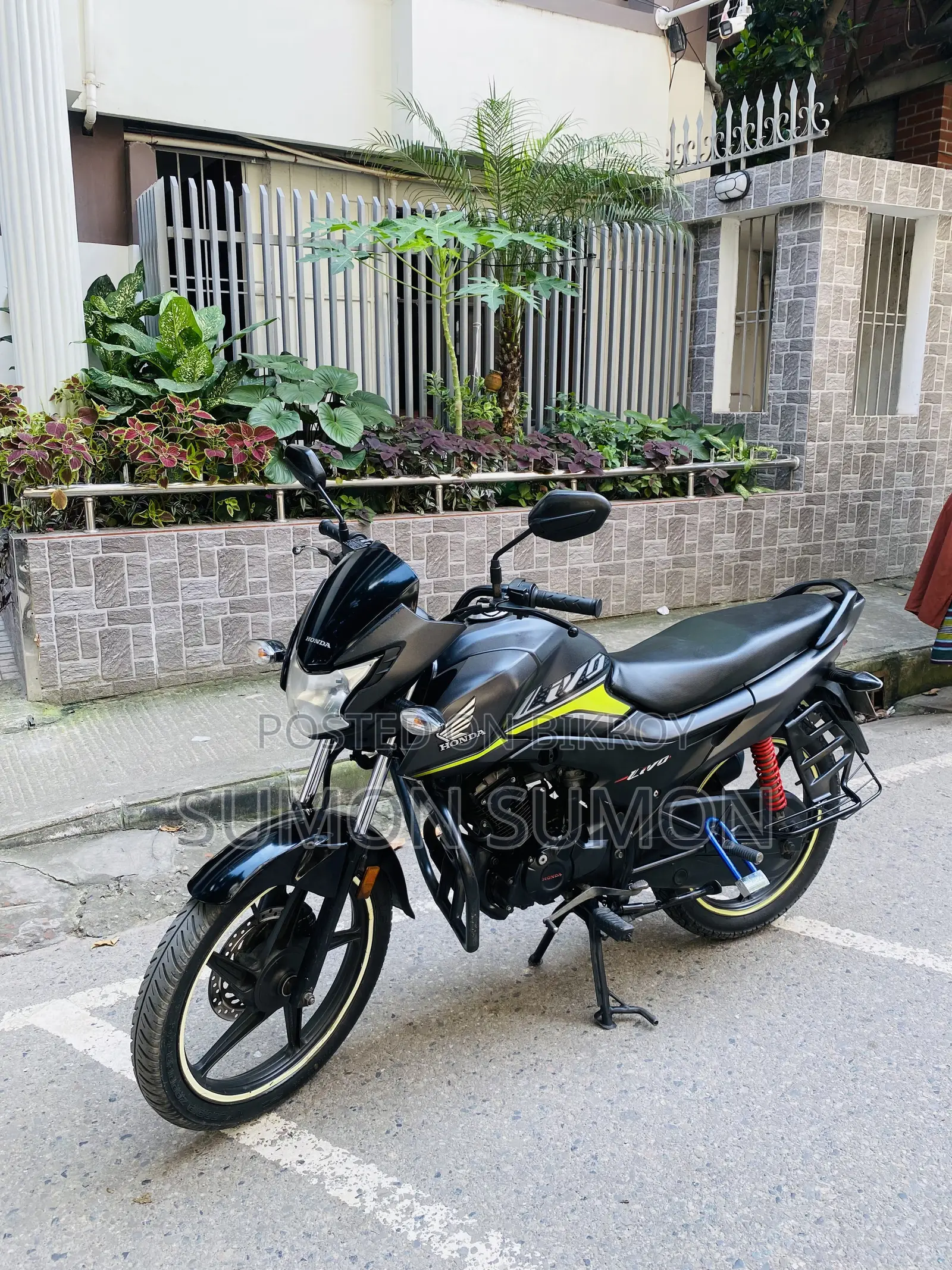Honda Livo 2019 Gray