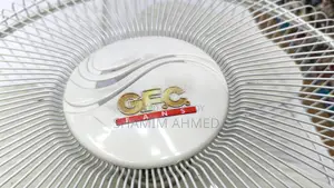 Ceiling Moving Fan