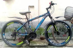 Alloy Cycle