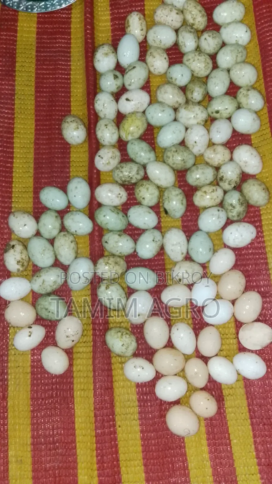 হাঁসের  ডিম বিক্রি করা হবে