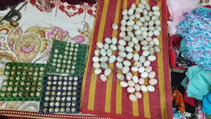 হাঁসের  ডিম বিক্রি করা হবে