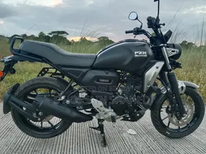 Yamaha FZ-X 2024 Gray