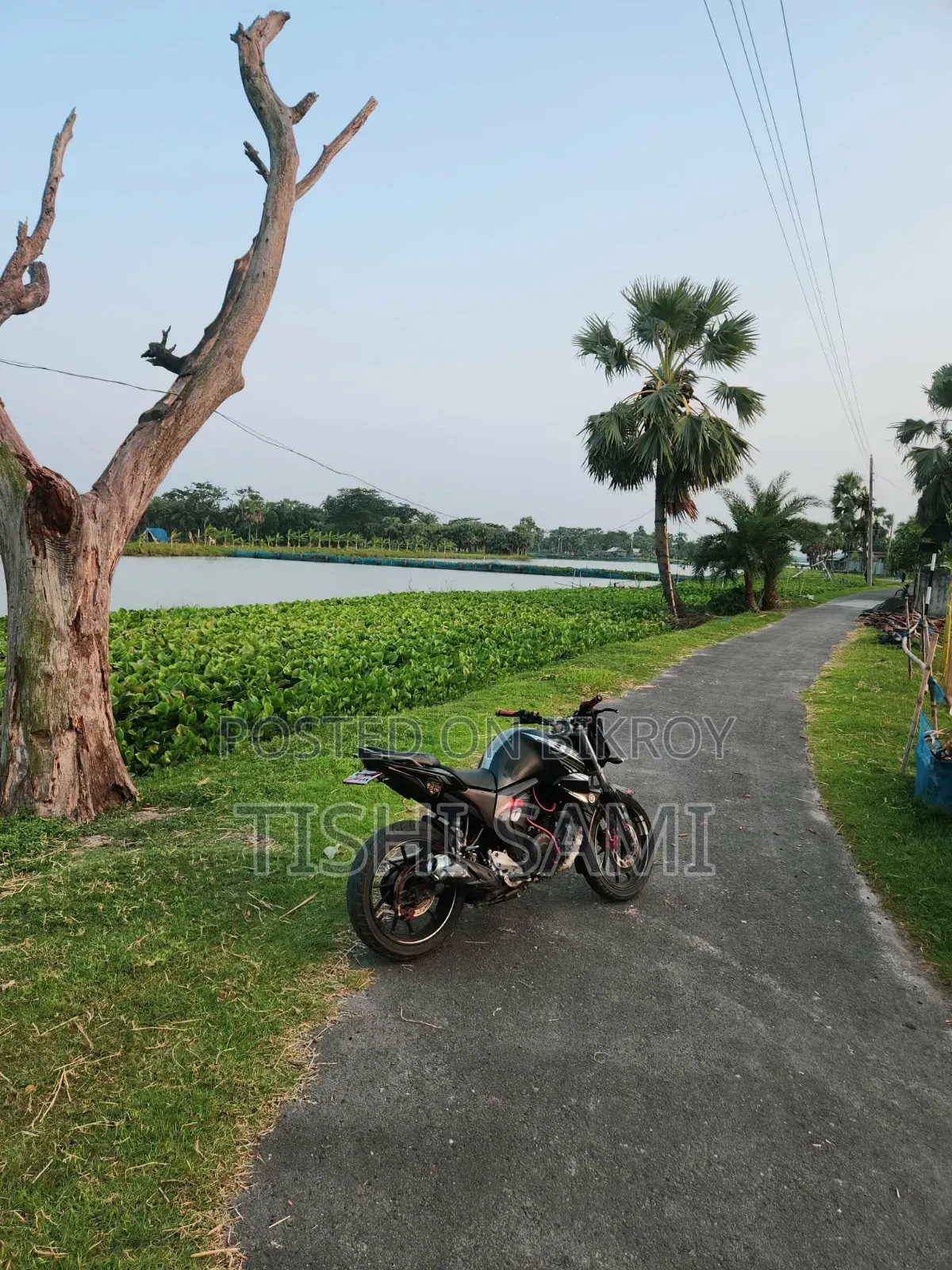 Yamaha FZS V2 2023 Black