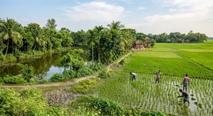 জায়গা বিক্রি