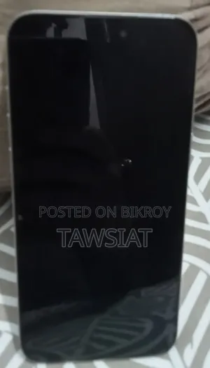Apple iPhone 15 Pro Max 256 GB