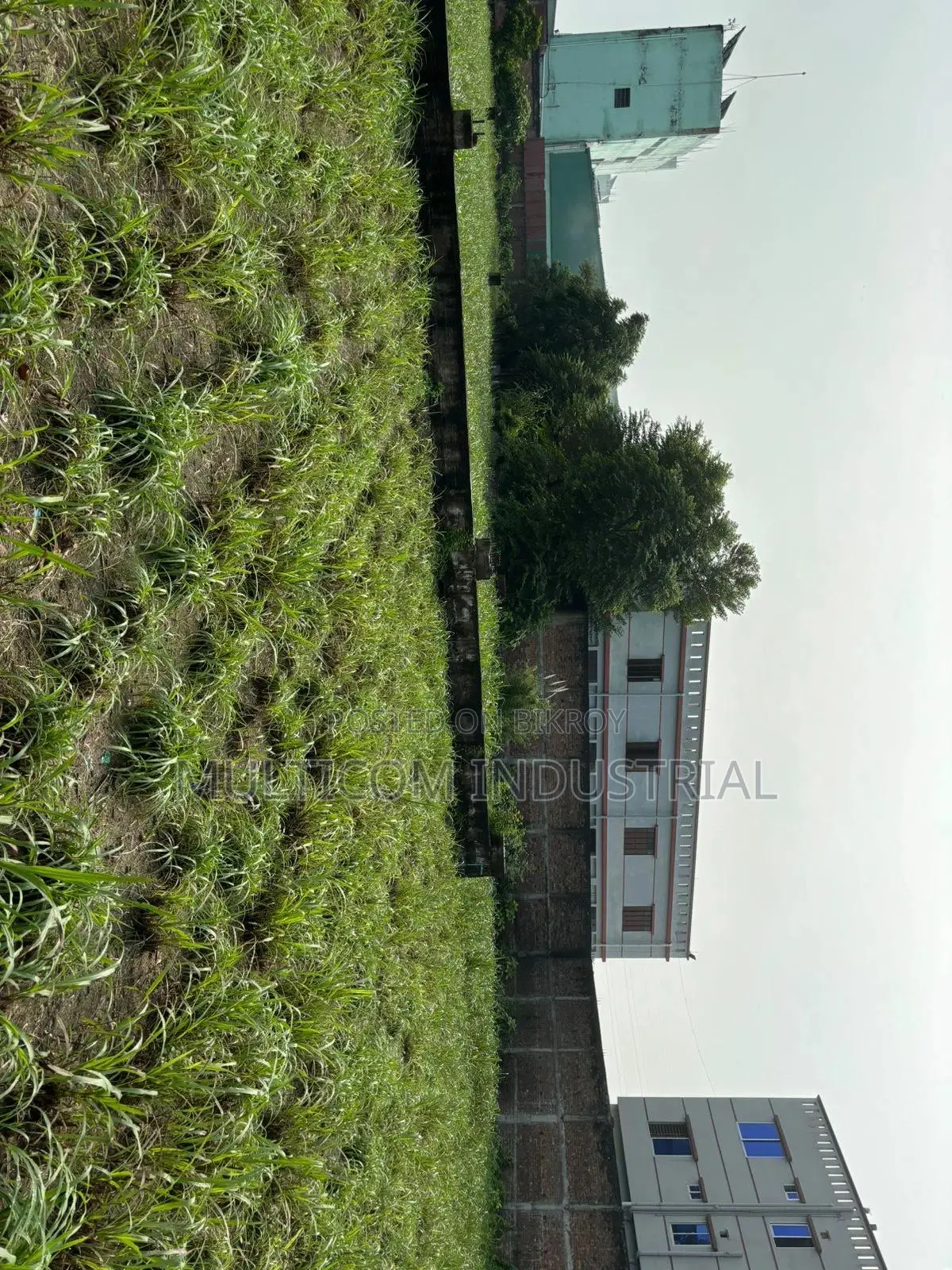  60,000 SQFT Under Construction Still Shed at Rupshi, DHK CTG-Syl HW