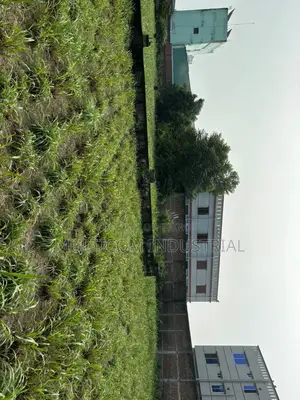  60,000 SQFT Under Construction Still Shed at Rupshi, DHK CTG-Syl HW