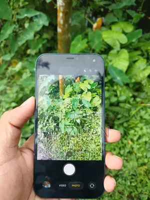 Apple iPhone 12 256 GB Black
