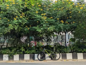 Full Fresh Bicycle