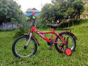 Reflex 16" Full Serviced Kids Cycle – Best Gift Ever