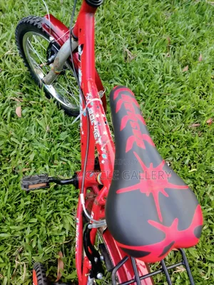 Reflex 16" Full Serviced Kids Cycle – Best Gift Ever