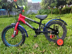 Space 16" Full Serviced Kids Cycle – Best Gift Ever