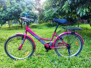 Duranta Ladies 24" Full Serviced Cycle – Perfect for Office