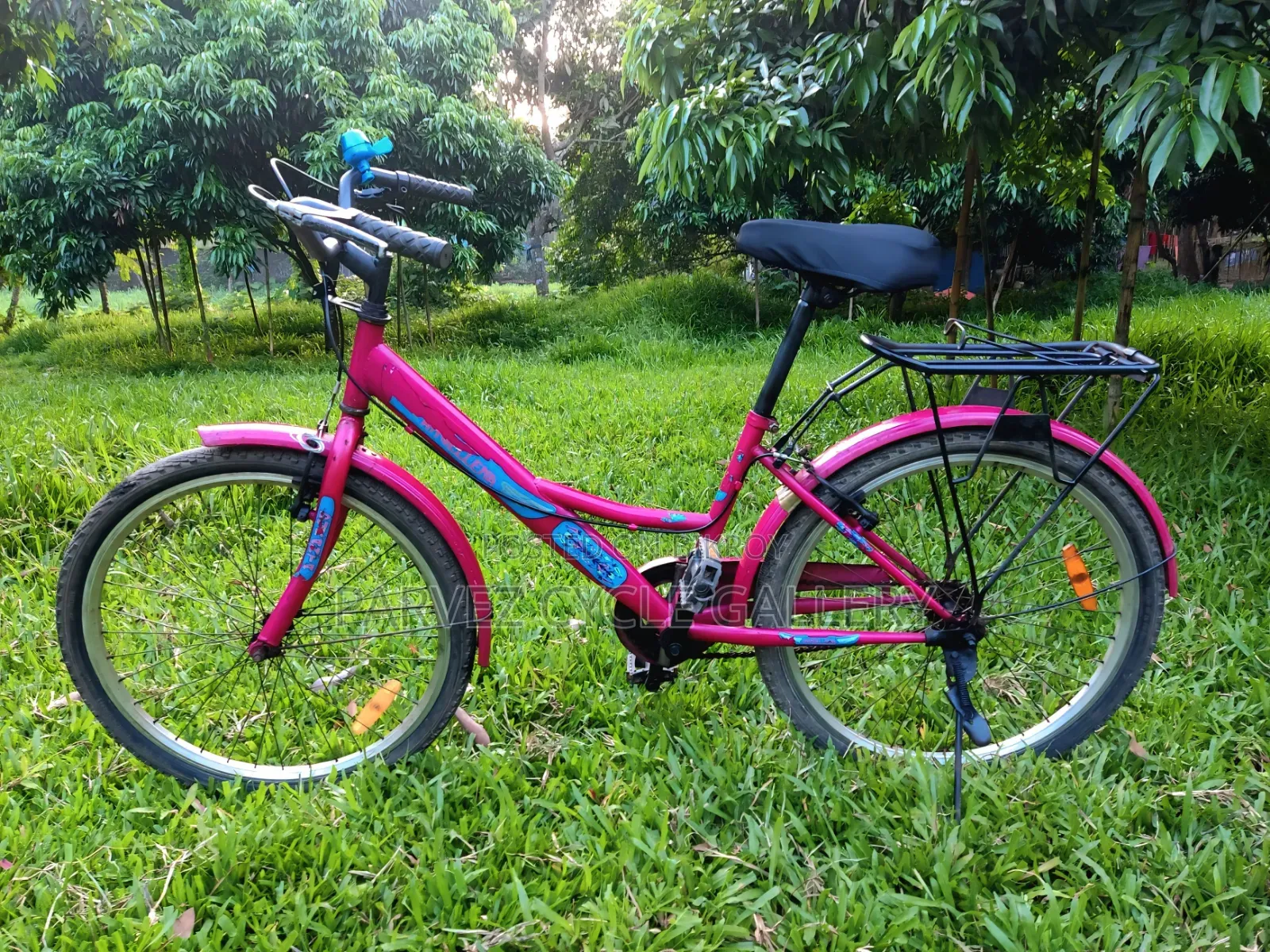 Duranta Ladies 24" Full Serviced Cycle – Perfect for Office