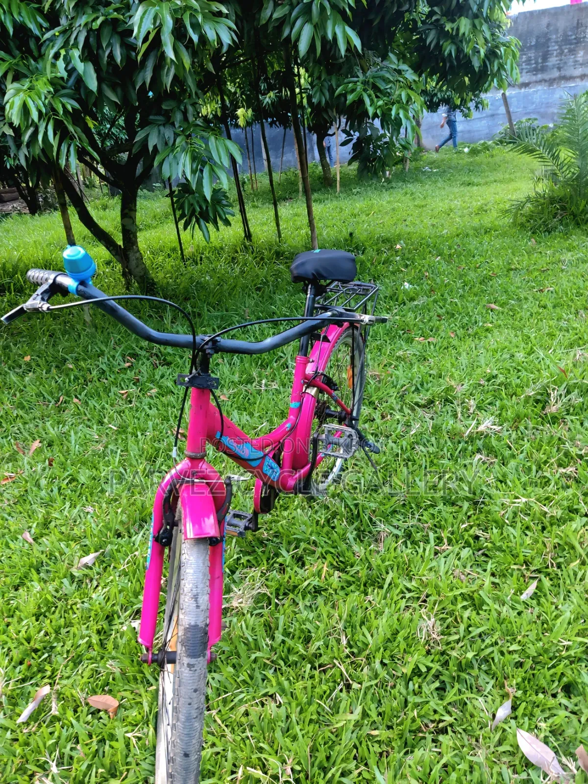 Duranta Ladies 24" Full Serviced Cycle – Perfect for Office