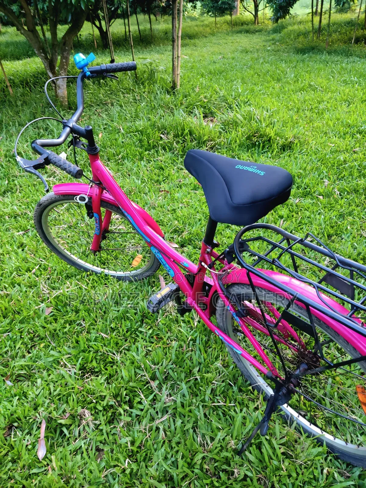 Duranta Ladies 24" Full Serviced Cycle – Perfect for Office