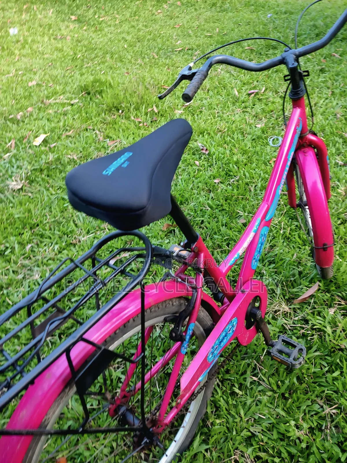 Duranta Ladies 24" Full Serviced Cycle – Perfect for Office