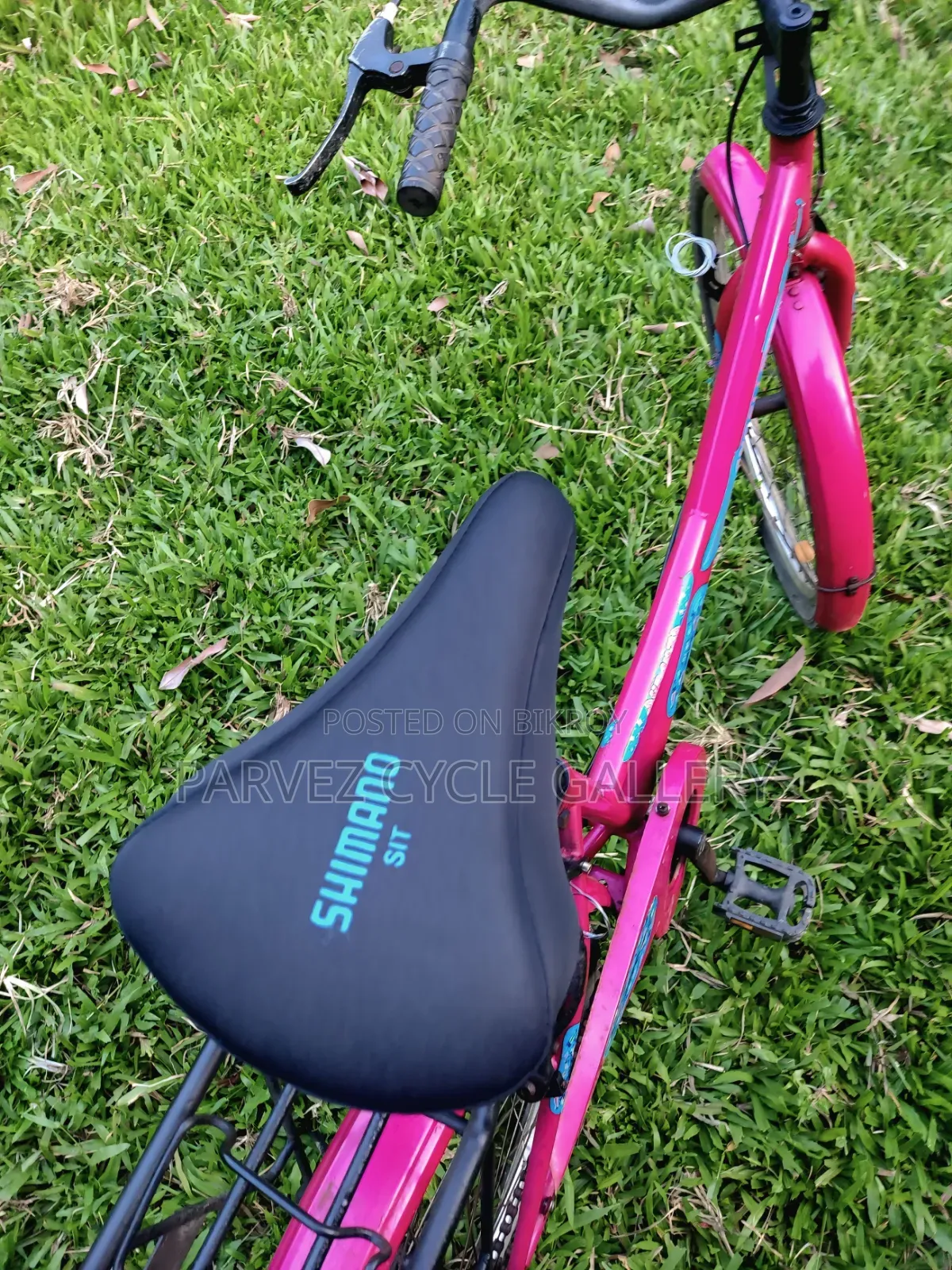 Duranta Ladies 24" Full Serviced Cycle – Perfect for Office
