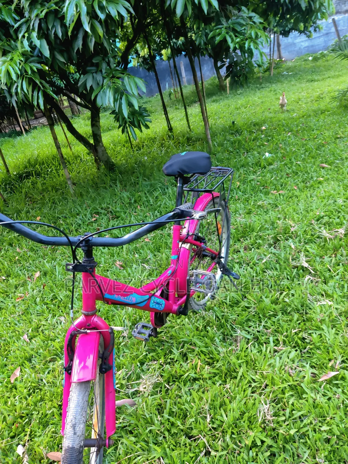 Duranta Ladies 24" Full Serviced Cycle – Perfect for Office