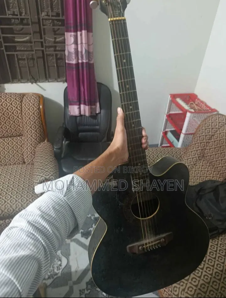 Signature Guitar Model 265