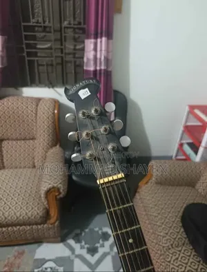 Signature Guitar Model 265